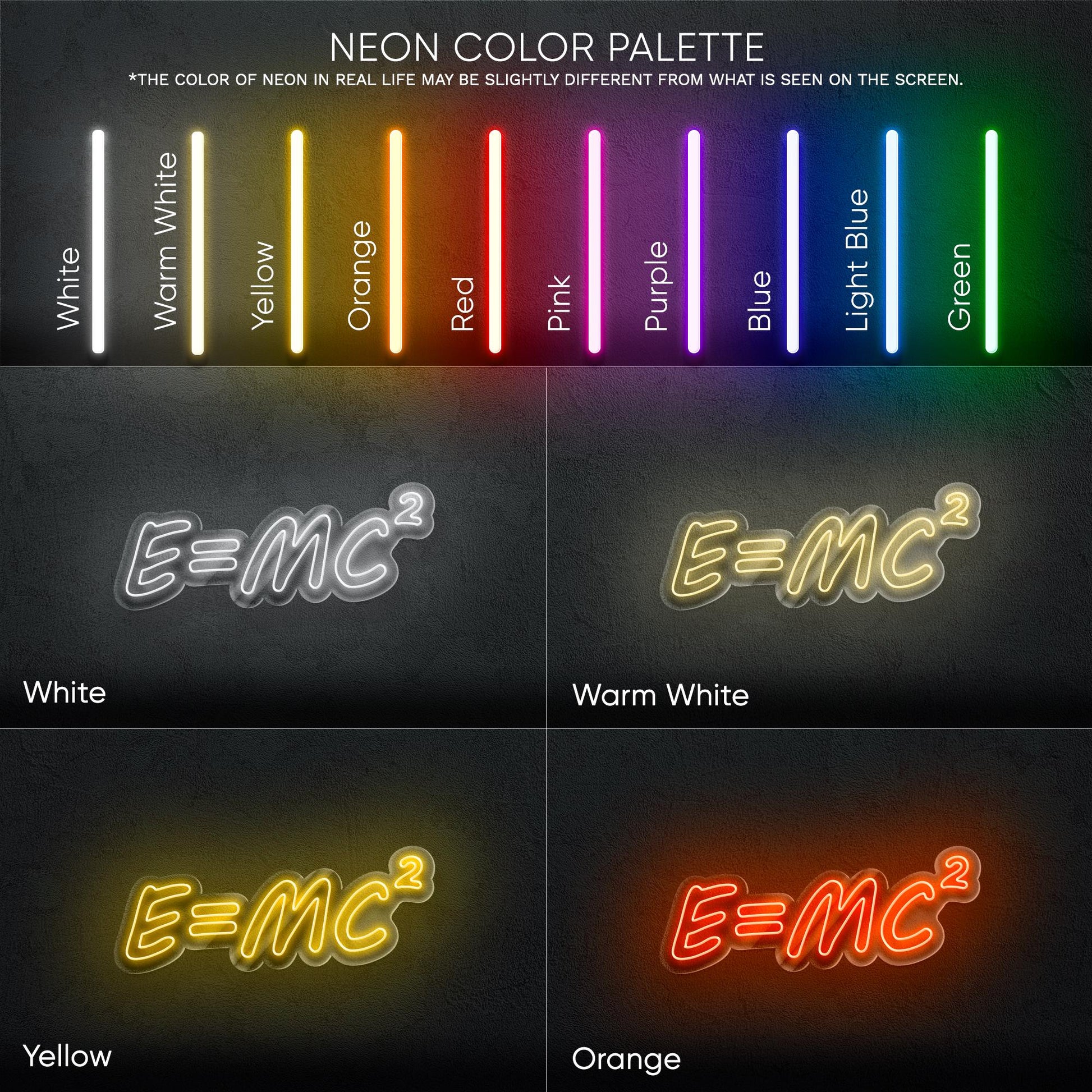 E=mc2 LED Neon Sign